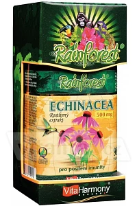 Echinacea 500 mg foto