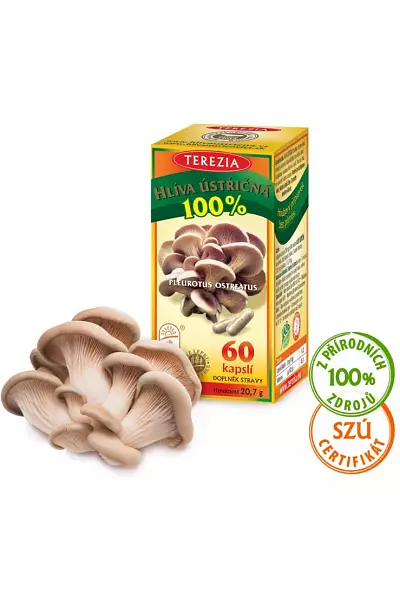 Hlíva ústřičná foto