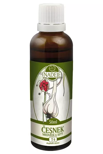 Česnek medvědí a setý - bylinná tinktura foto