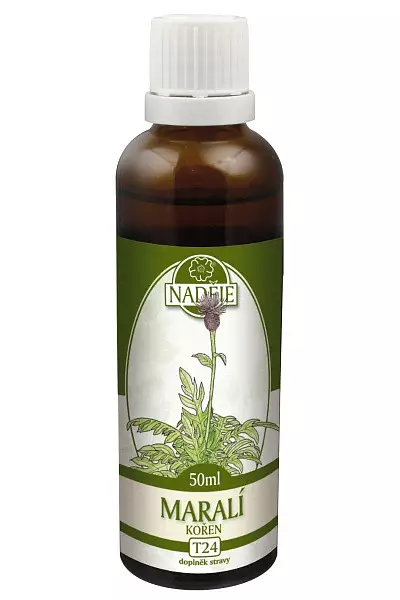 Maralí kořen - leuzea - bylinná tinktura foto