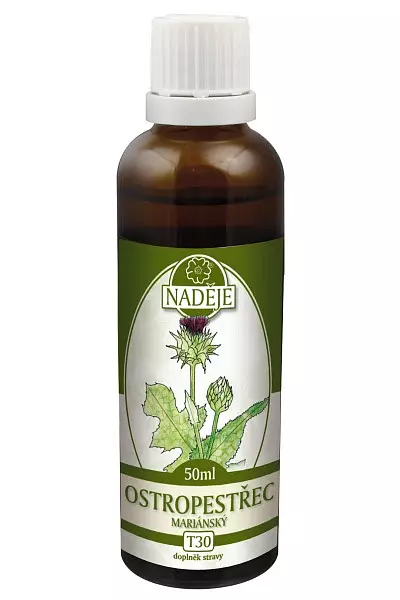 Ostropestřec mariánský - bylinná tinktura foto