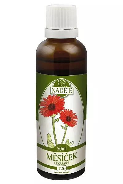 Měsíček lékařský - bylinná tinktura foto