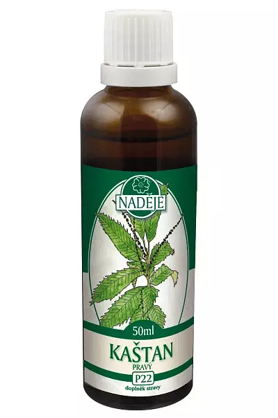 Kaštan pravý - tinktura z pupenů foto