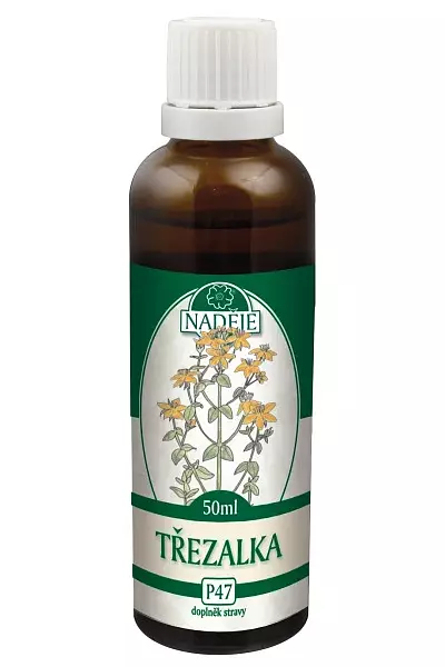 Třezalka tečkovaná - tinktura z pupenů foto