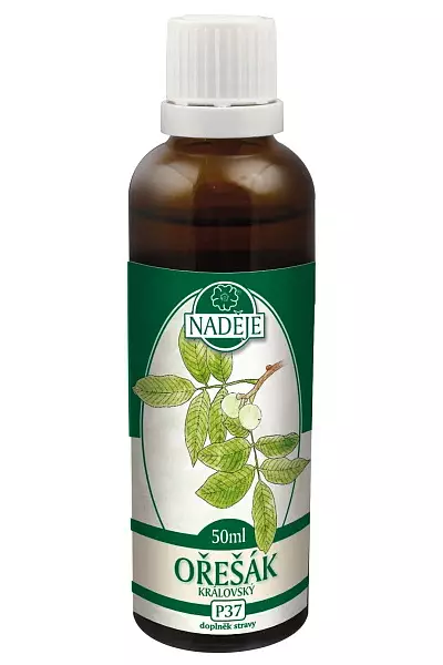 Ořešák královský - tinktura z pupenů foto