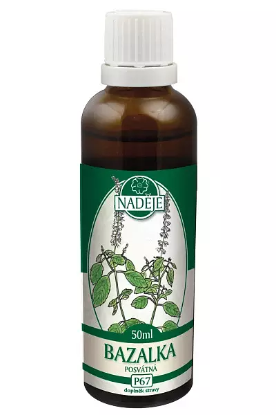 Bazalka posvátná - tinktura z pupenů foto