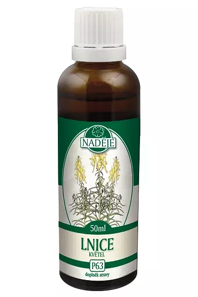 Lnice - tinktura z pupenů foto