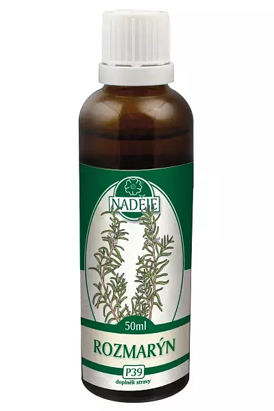 Rozmarýn - tinktura z pupenů foto