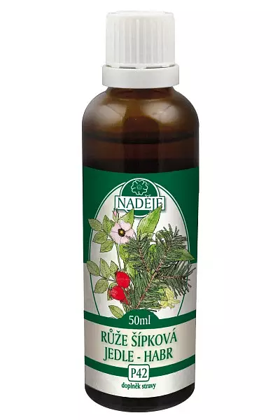Růže, jedle, habr - tinktura z pupenů foto
