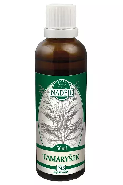 Tamaryšek - tinktura z pupenů foto