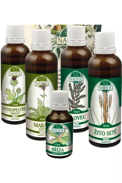 Kúra K30 - játra, žlučník foto