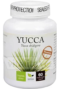 Yucca Premium foto