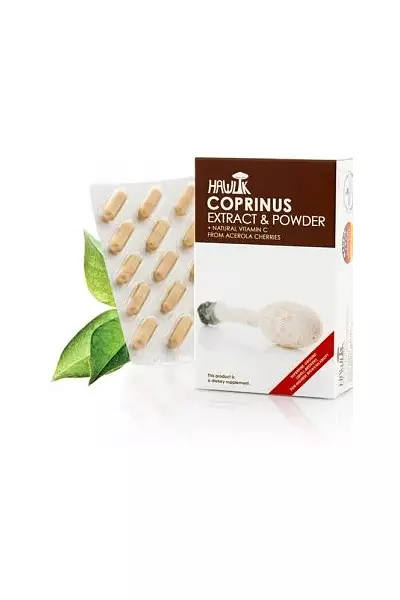 Coprinus - Hawlik foto