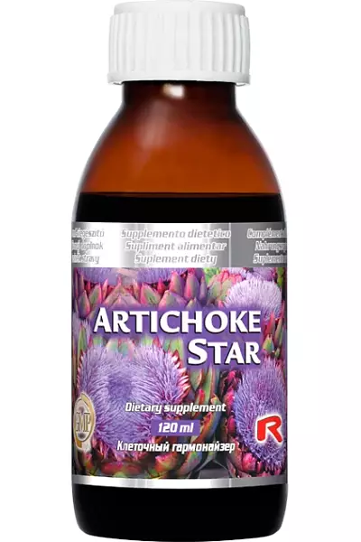 ARTICHOKE STAR foto