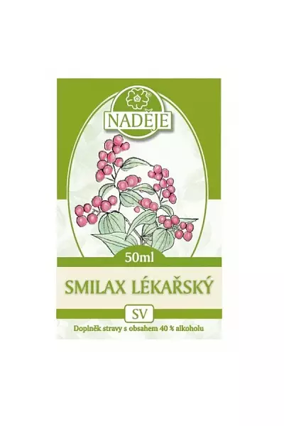 Smilax lékařský foto