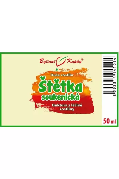 Štětka soukenická foto