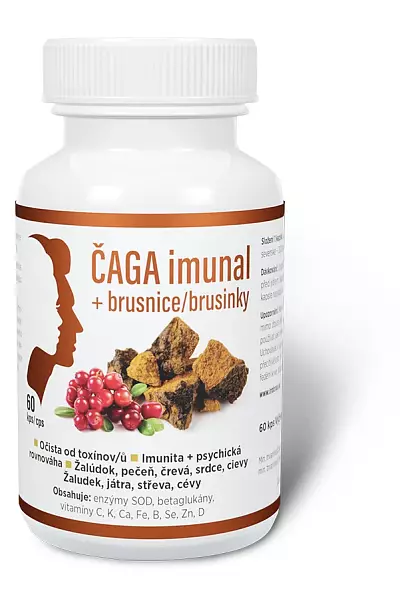 Čaga imunal + brusinky foto