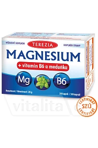 Magnesium + vitamin B6 a meduňka foto