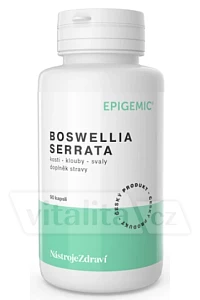 Boswellia Serrata Epigemic® foto