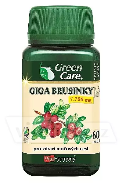 Giga Brusinky 7700 photo