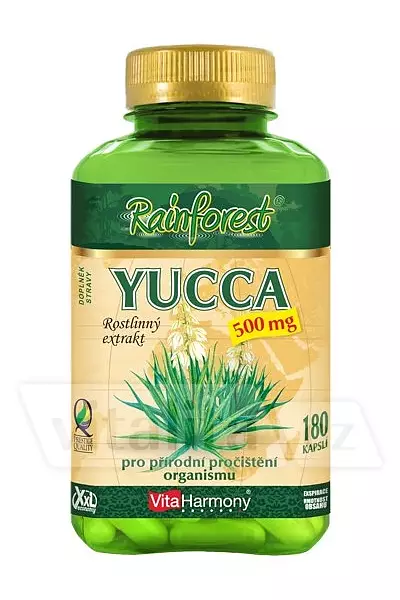 Rainforest YUCCA 500 mg photo