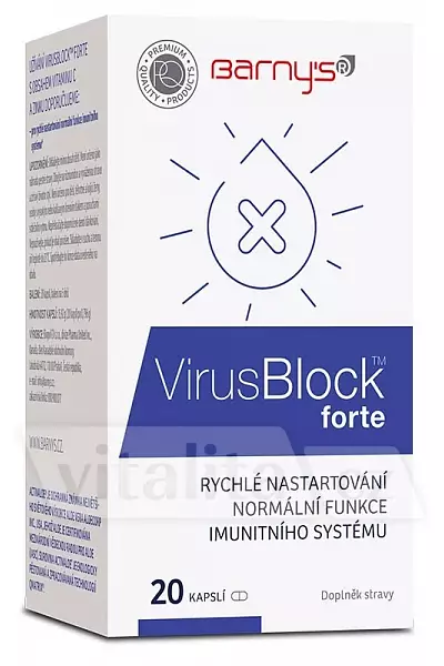 VirusBlock photo