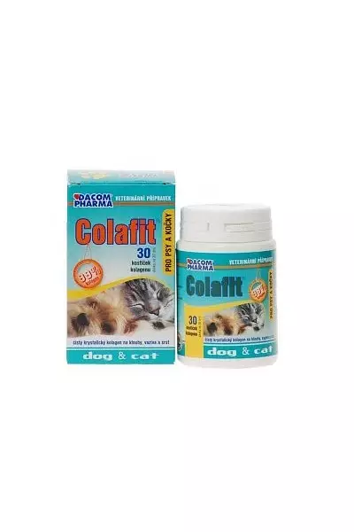Colafit dog and cat photo