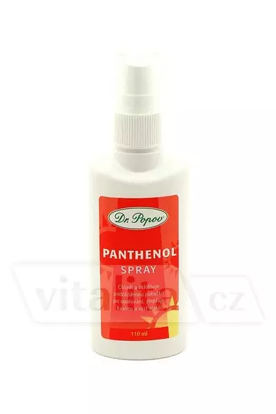 Panthenol spray Dr. Popov photo