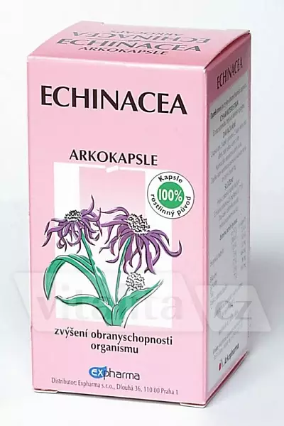 Echinacea Arkokapsle photo