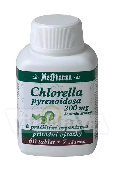 Chlorella pyrenoidosa photo