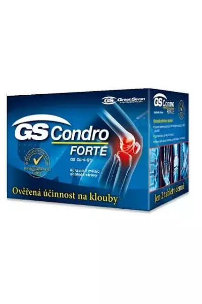 GS Condro Forte photo