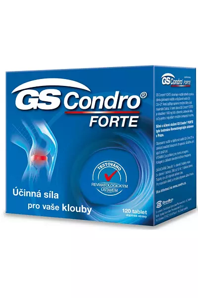 GS Condro Forte photo