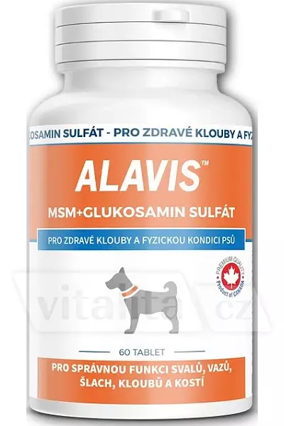 Alavis MSM + Glukosamin photo