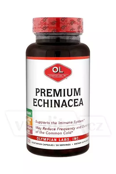 Echinacea Premium photo