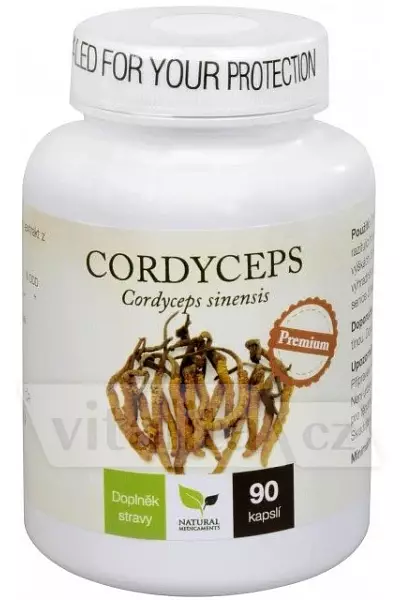 Cordyceps Premium photo