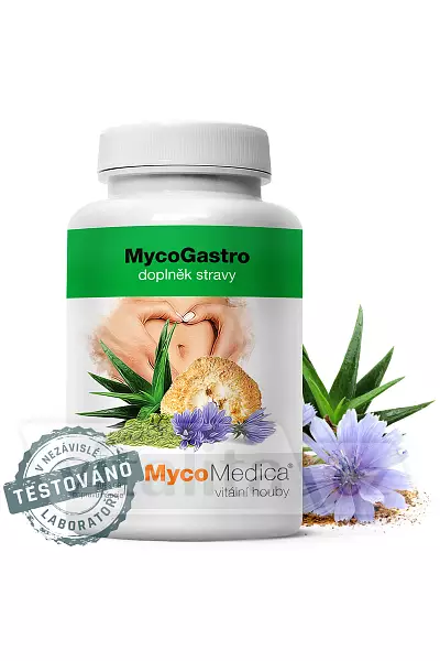 MycoGastro photo