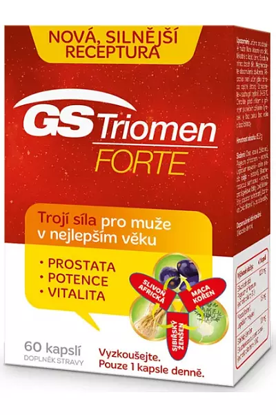 GS Triomen FORTE photo