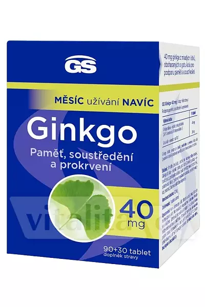 GS Ginkgo 40 + Gotu kola photo
