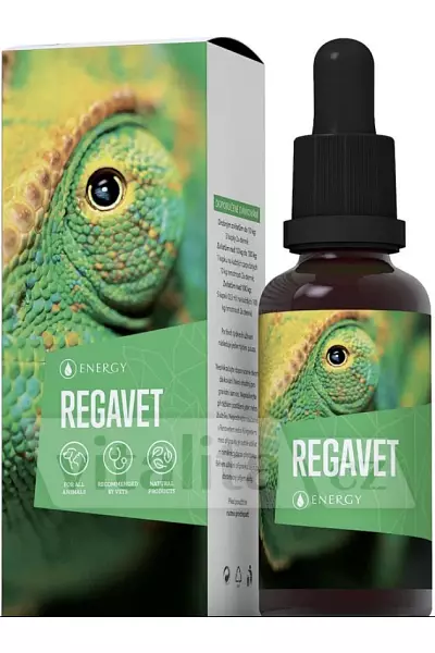 Regavet photo