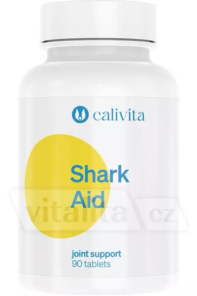 Shark – Aid photo