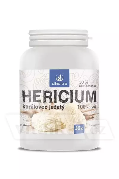 Hericium – Allnature photo