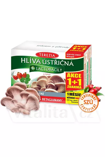 Hlíva ústřičná + lactobacily photo