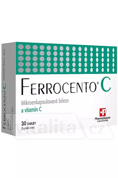 Ferrocento C photo