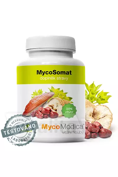 MycoSomat photo