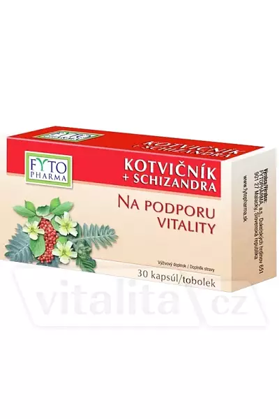 Kotvičník + Schizandra photo