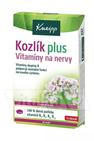 kozlík plus photo