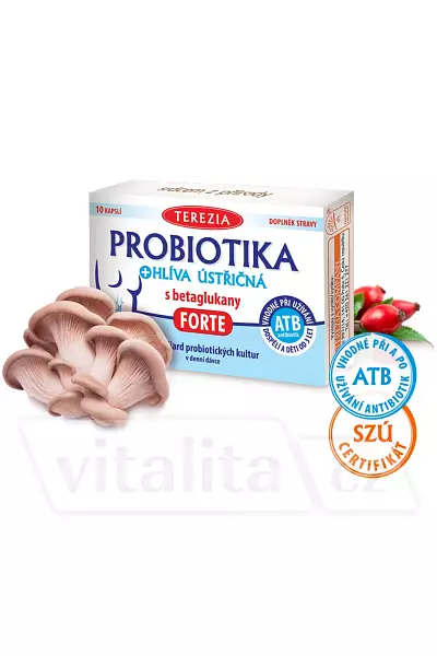 PROBIOTIKA + hlíva ústřičná s betaglukany FORTE photo