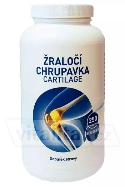 Žraločí chrupavka Cartilage photo