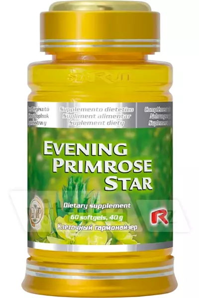 EVENING PRIMROSE STAR photo