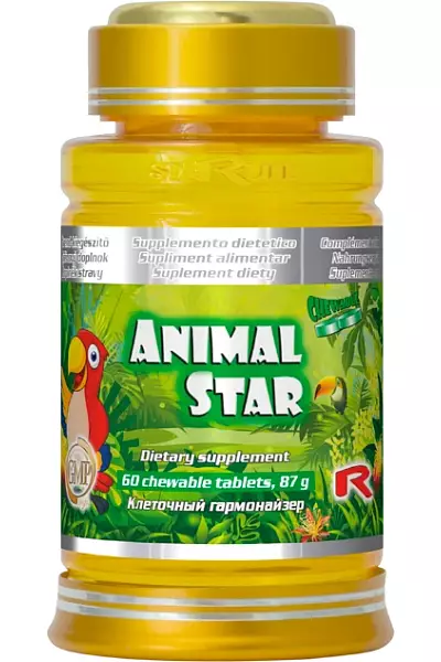 ANIMAL STAR photo